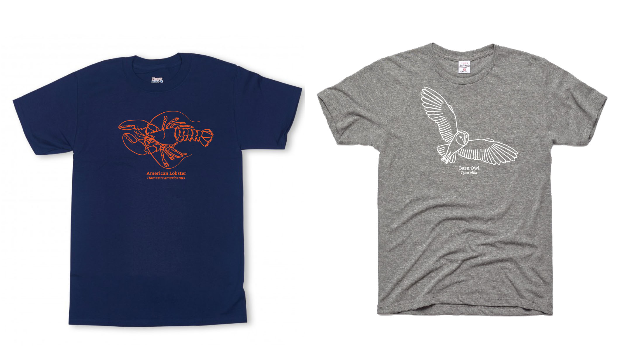 Maria Mitchell Association on Nantucket - Graphic T-Shirts Designed by Malcolm Designs
